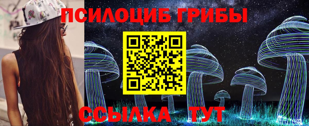 Галлюциногенные грибы Cubensis Ставрополь