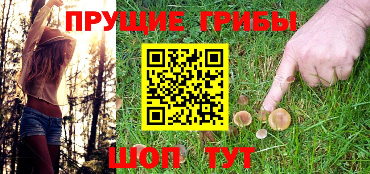 ЭКСТАЗИ Ставрополь